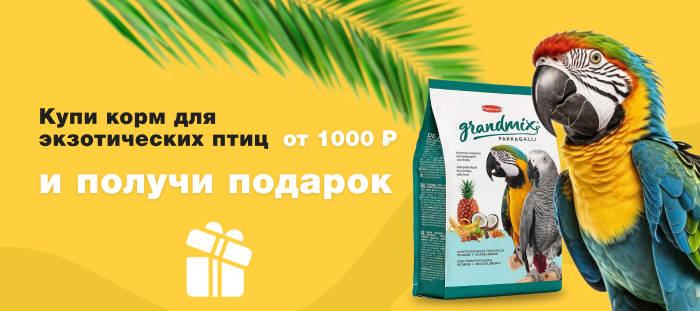 Купи корм для экзотических птиц от 1000 рублей и получи подарок