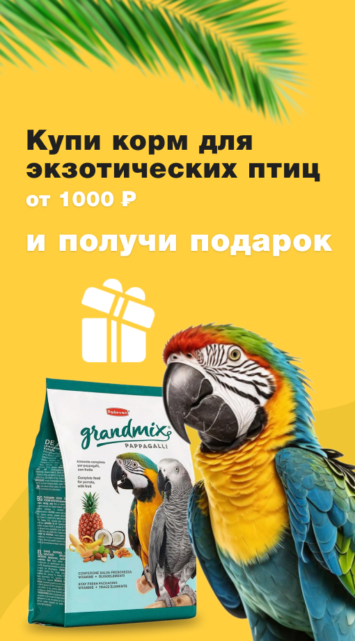 Купи корм для экзотических птиц от 1000 рублей и получи подарок