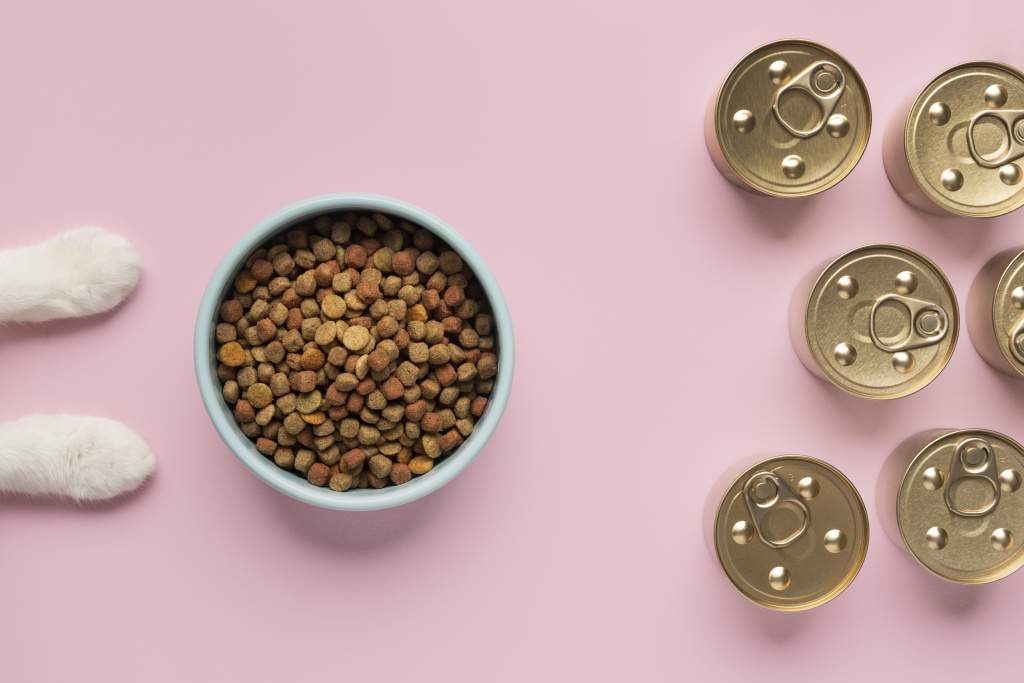still-life-domestic-animal-food-composition.jpg still-life-domestic-animal-food-composition.jpg