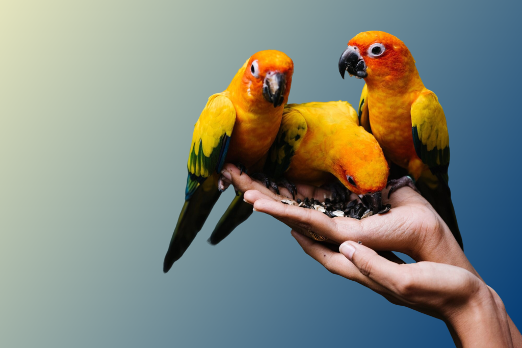 freepik__background__70669.png freepik__background__70669.png