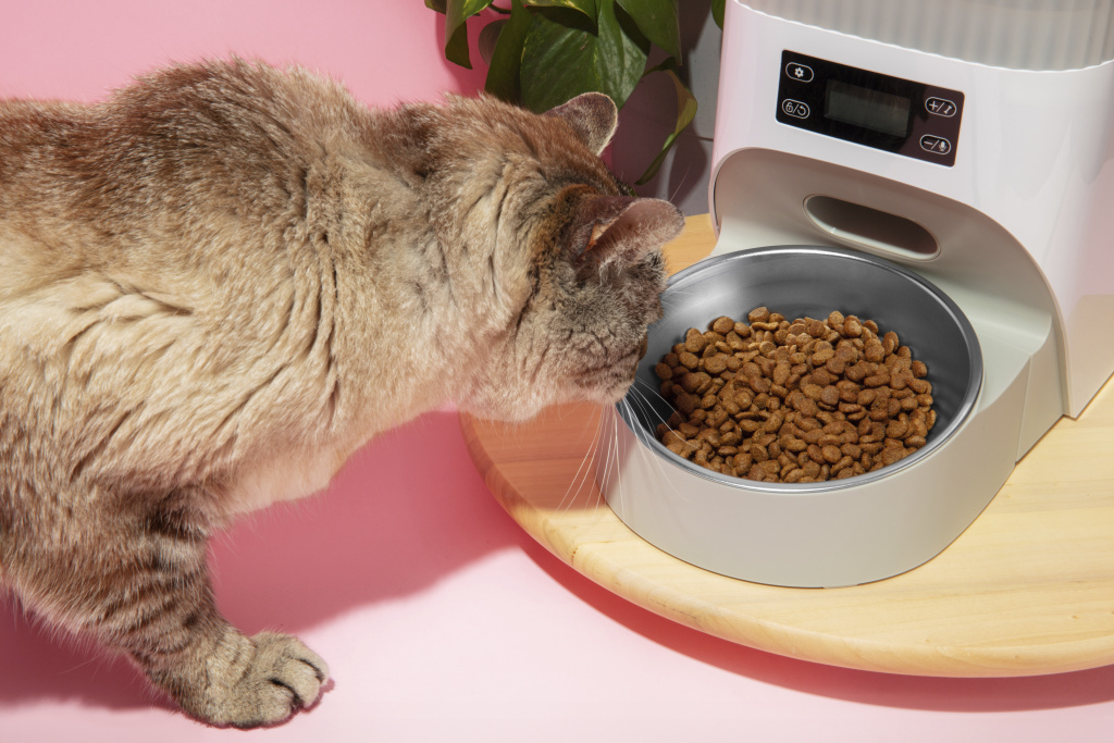 smart-feeder-pets-still-life.jpg smart-feeder-pets-still-life.jpg