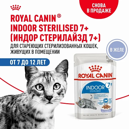 Royal Canin Indoor Sterilised 7- влажный корм для стерилизованных кошек в возрасте от 7 до 12 лет, живущих в помещении, мелкие кусочки в желе, в паучах - 85 г 