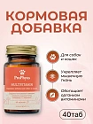 Мультивитамин Про Фито для собак и кошек 40 таблеток 