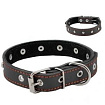 Home Pet ошейник кожаный двойной 25 мм