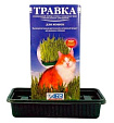 АВЗ Трава для кошек 5 злаков 