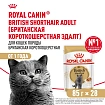 Royal Canin British Shorthair Adult влажный корм для взрослых британских короткошерстных кошек в соусе, в паучах 