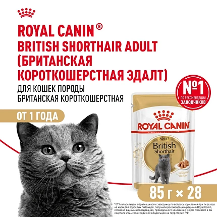 Royal Canin British Shorthair Adult влажный корм для взрослых британских короткошерстных кошек в соусе, в паучах 