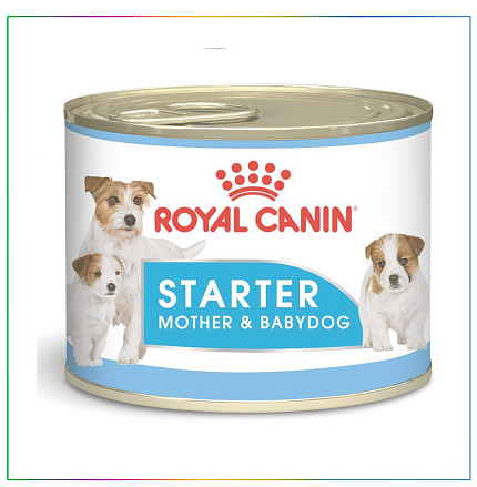 Royal Canin Starter Mother & Babydog, мусс-паштет для беременных и кормящих собак и щенков