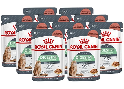Влажный корм Royal Canin Digestive Care для взрослых кошек
